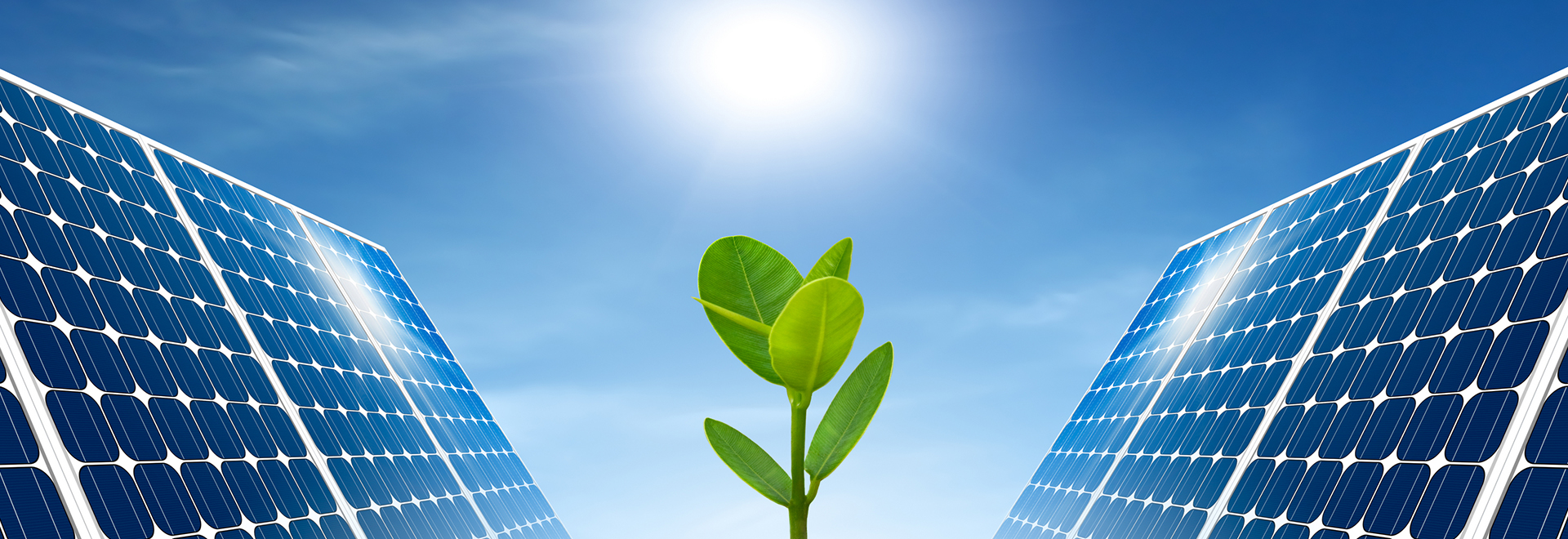 حلول للكوكب الصغير